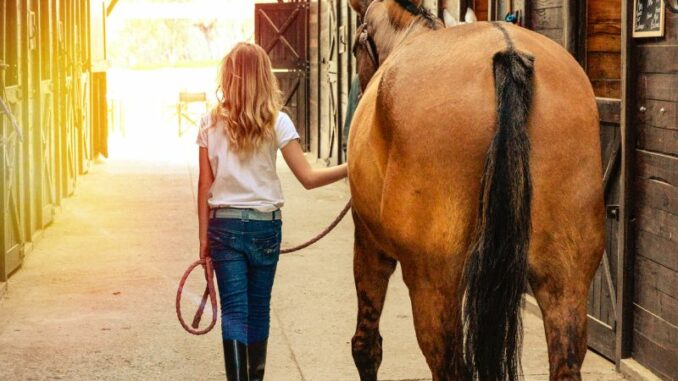 Ratgeber: Reitausrüstung für Kinder - das gehört dazu