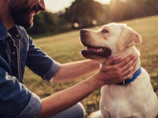GPS Tracker für Hunde – Sicherheit für Ihr Haustier